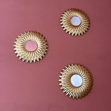 Savanah - Olympe & - Lille *