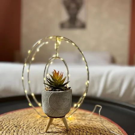 Savanah - Olympe & - Lille *