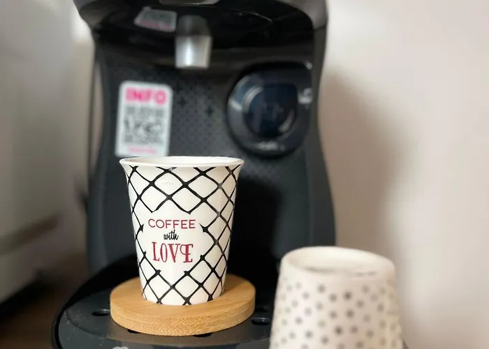 Savanah - Olympe & - Lille * Roubaix