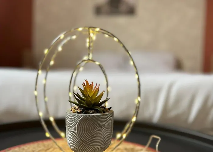 Savanah - Olympe & - Lille *